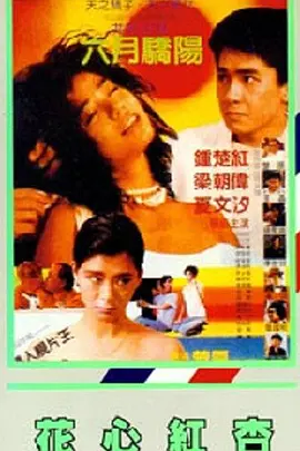 21岁的恋情岁月