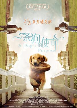 xxxww免费看