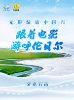寡妇姨妈的诱惑