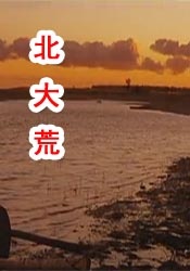 国产精品12