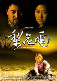 新来的女律师