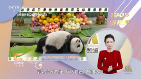 自己的男朋友